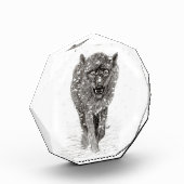 Der graue Schwarze Wolf im Schnee , der wilde Wint Fotoblock (Links)