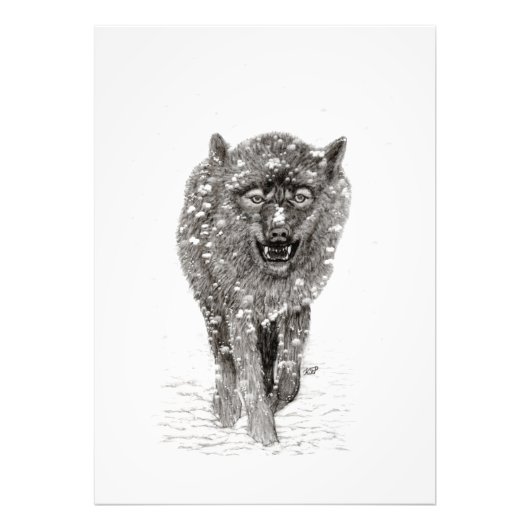Der graue Schwarze Wolf im Schnee , der wilde Wint Fotodruck (Vorne)