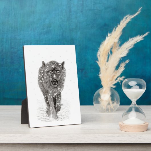 Der graue Schwarze Wolf im Schnee , der wilde Wint Fotoplatte (Seite)