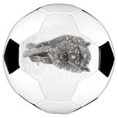 Der graue Schwarze Wolf im Schnee , der wilde Wint Fußball (Gedreht)