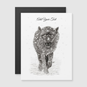 Der graue Schwarze Wolf im Schnee , der wilde Wint Magnetkarte