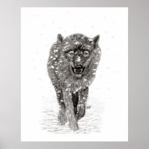 Der graue Schwarze Wolf im Schnee , der wilde Wint Poster