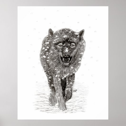 Der graue Schwarze Wolf im Schnee , der wilde Wint Poster (Vorne)