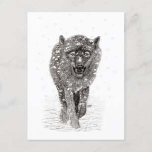 Der graue Schwarze Wolf im Schnee , der wilde Wint Postkarte