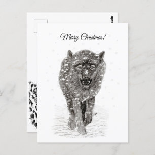 Der graue Schwarze Wolf im Schnee , der wilde Wint Postkarte