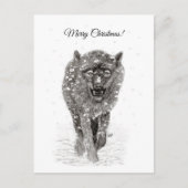 Der graue Schwarze Wolf im Schnee , der wilde Wint Postkarte (Vorderseite)