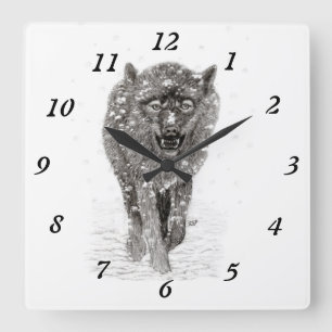 Der graue Schwarze Wolf im Schnee , der wilde Wint Quadratische Wanduhr
