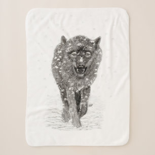 Der graue Schwarze Wolf im Schnee , der wilde Wint Sherpadecke