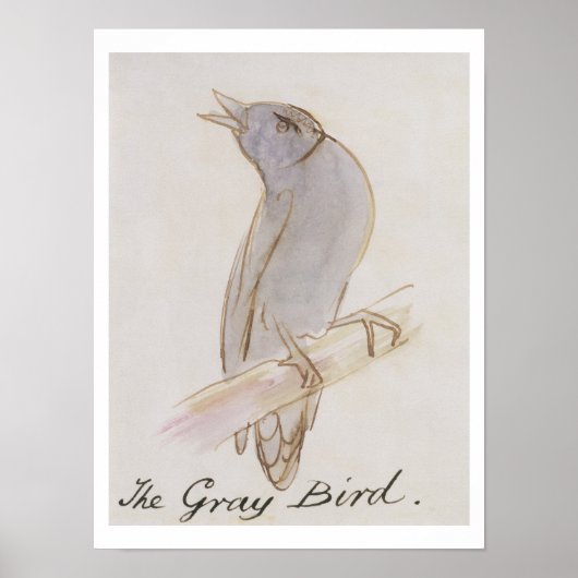 Der graue Vogel, von 'Sechzehn Zeichnungen von Com Poster (Vorne)