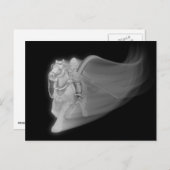 Der grimmige Sensenmann fährt wieder Postkarte (Vorne/Hinten)