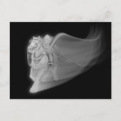 Der grimmige Sensenmann fährt wieder Postkarte (Vorderseite)