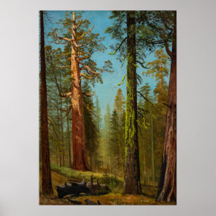 Der Grizzly Giant Sequoia, Berühmtes Gemälde Poster
