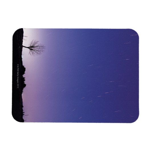 Der große Ableger Magnet (Horizontal)