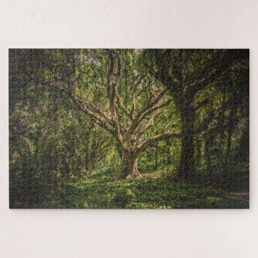 Der große alte Baum im Wald Puzzle (Horizontal)