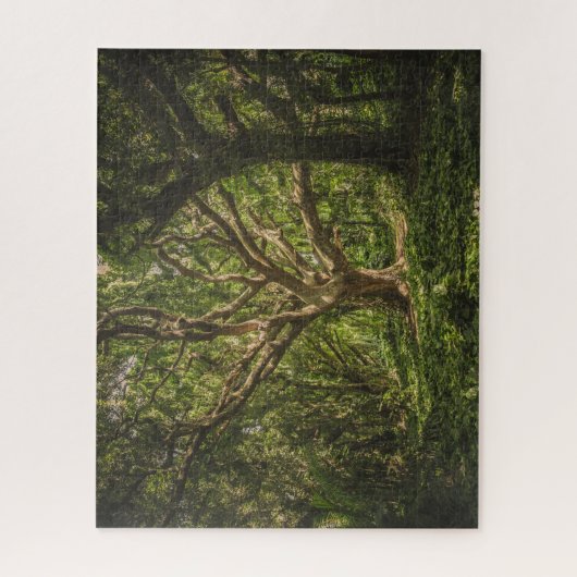 Der große alte Baum im Wald Puzzle (Vertikal)