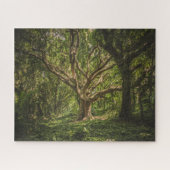 Der große alte Baum im Wald Puzzle (Horizontal)