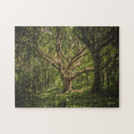 Der große alte Baum im Wald Puzzle