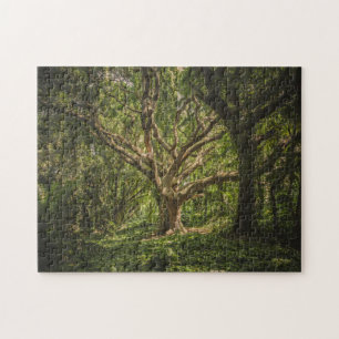 Der große alte Baum im Wald Puzzle
