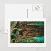 Der große Baumgarten Mariposa, Yosemite Postkarte (Vorne/Hinten)