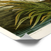 Der große blaue Heron John Audubon Birds of Americ Poster (Ecke)