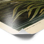 Der große Blaue Heron von Audubons Vögeln Amerikas Fotodruck (Ecke)