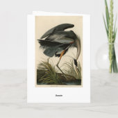 Der große Blaue Heron von Audubons Vögeln Amerikas Karte (Rückseite)