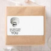 Der große Bruder beobachtet dich (Insitu)