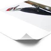 Der große Fleckenspecht 7x5 Fotografie Pri (Ecke)