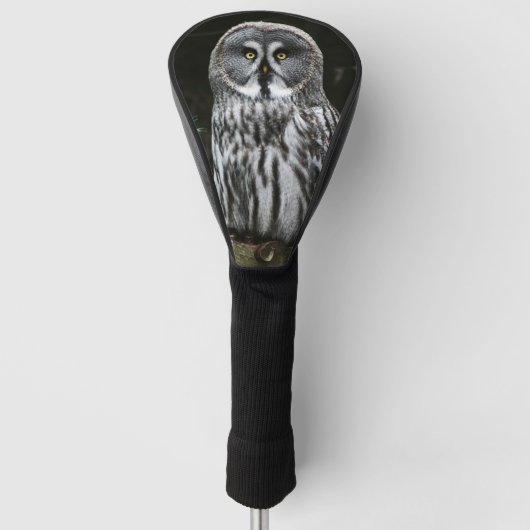 Der große graue Owl-Dccm Golf Headcover (Vorderseite)