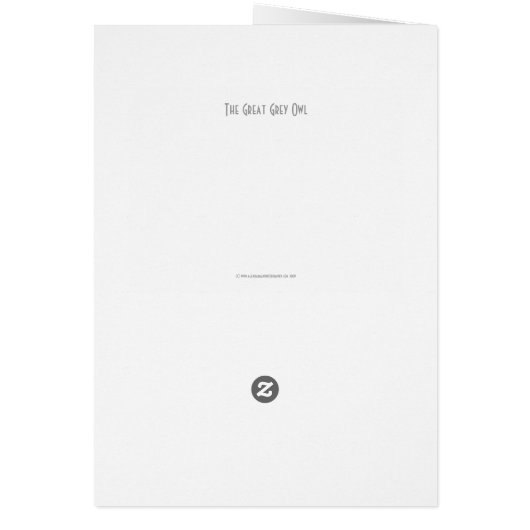 Der große graue Owl-Knoten (Hinten)