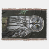 Der große graue Owl-Zyklus Decke (Vorderseite)