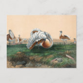 Der große Hase von Joseph Wolf Postkarte (Vorderseite)