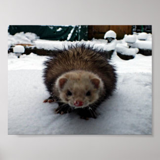 Der Große ist schwindelig Poster