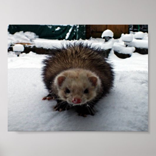 Der Große ist schwindelig Poster (Vorne)