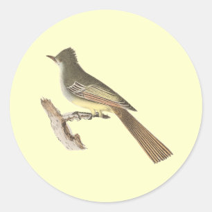 Der Große Königvogel (Tyrannus crinitus) Runder Aufkleber