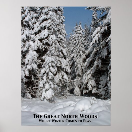 Der Große Nordwald; Wo der Winter ins Spiel kommt Poster (Vorne)