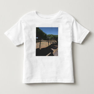 Der große Palaestra Kleinkind T-shirt
