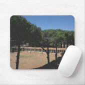 Der große Palaestra Mousepad (Mit Mouse)