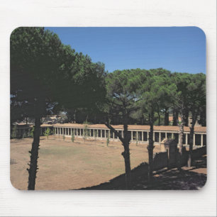 Der große Palaestra Mousepad