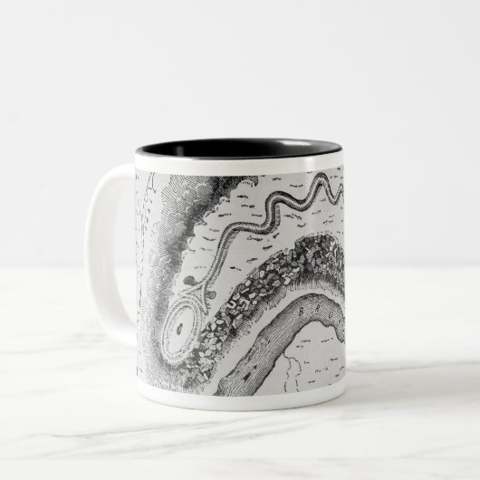 Der große Schlangen-Hügel Zweifarbige Tasse (Vorderseite Links)