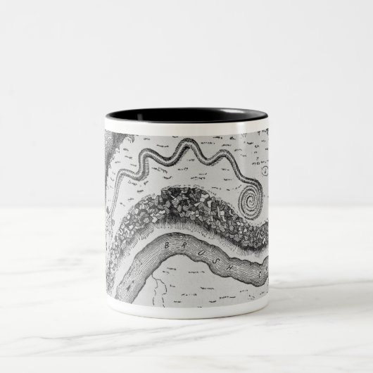 Der große Schlangen-Hügel Zweifarbige Tasse (Mittel)