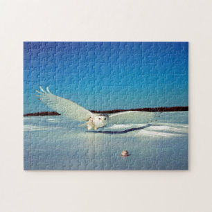 Der große Schnee-Eulen-Raubvogel Puzzle