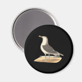 Der Große Schwarzweißmöwe (Larus marinus) Magnet (Vorderseite/Rückseite)