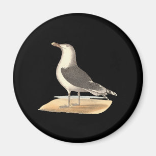 Der Große Schwarzweißmöwe (Larus marinus) Magnet