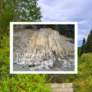 Der große Stumpf, florisante Fossilienbetten, WY Postkarte