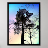 Der größte Baum Poster (Vorne)