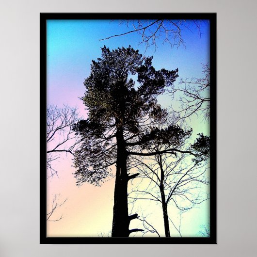 Der größte Baum Poster (Vorne)