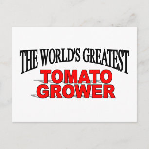 Der größte Tomatenbauer der Welt Postkarte