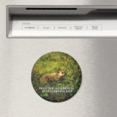 Der Groundhog-Magnet am Groundhog-Tag behalten Magnet (In Situ (Geschirrspüler))
