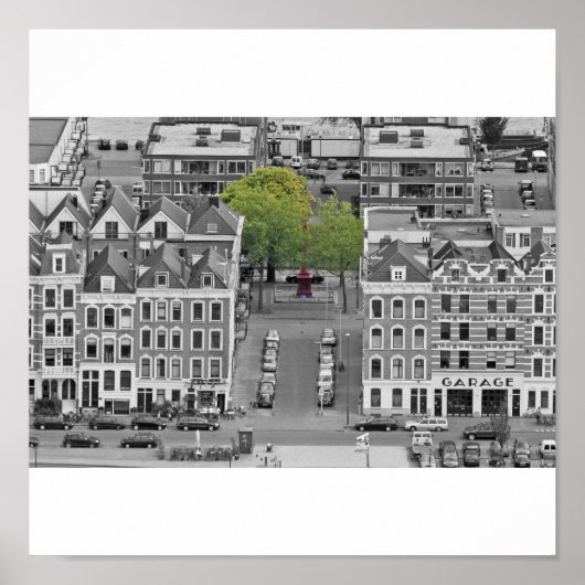 Der Grünbaum Poster (Vorne)